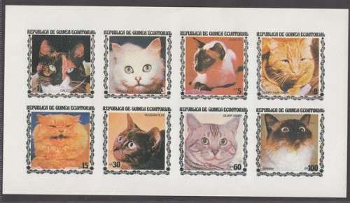 Equatorial Guinea - Domestic Cats - Miniature Sheet / Souvenir Sheet