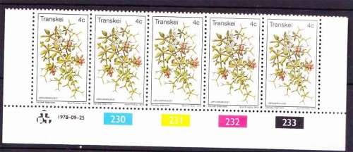 Transkei - 1978 - Edible Wild Fruits / Fruit / Plants - Single Control Block 4c Carissa bispinosa