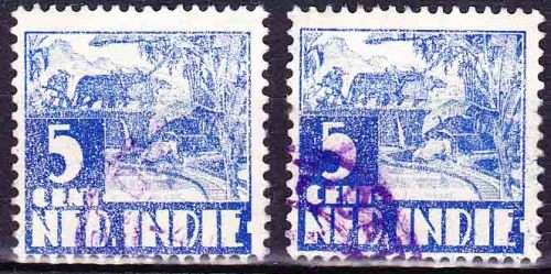 Netherlands Indies - 1938 - Rice Field Scene, Oxen