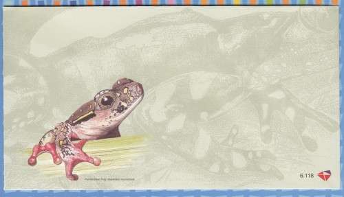South Africa RSA - 2000 - FDC 6.118 Frogs of SA - Unserviced Cover
