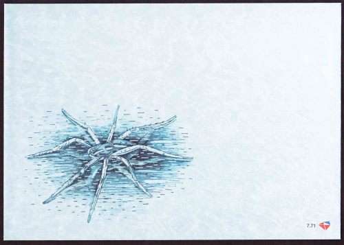 South Africa RSA - 2004 - FDC 7.71 - Spiders - Unserviced Cover
