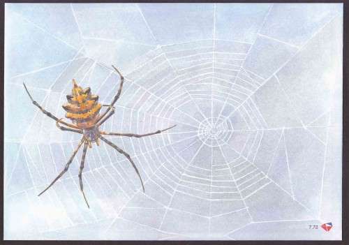 South Africa RSA - 2004 - FDC 7.72 - Spiders - Unserviced Cover