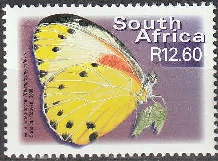 South Africa RSA - 2000 - 7th Definitive - False Dotted Border Butterflies