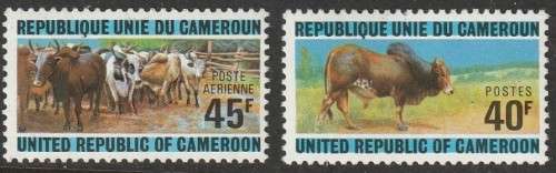 Cameroon Cameroun - 1974 - Cattle