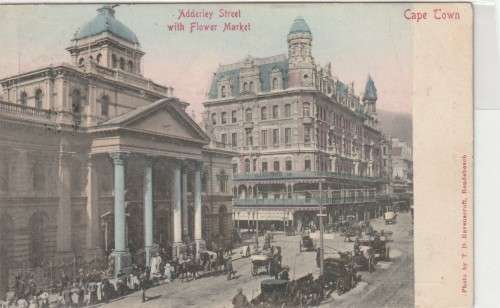 South Africa - 1905 - Adderley Street with Flower Market Cape Town - Postcard