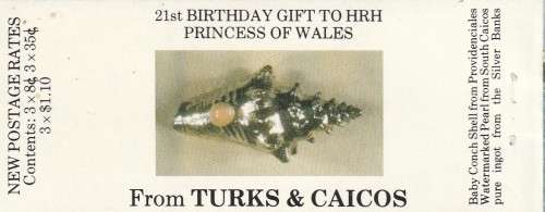 Turks and Caicos Islands - 1982 - Pricess Diana 21st Birthday - Booklet
