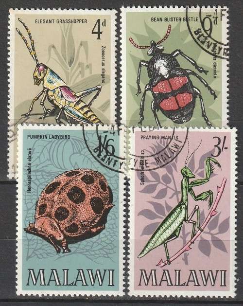 Malawi - 1970 - Insects