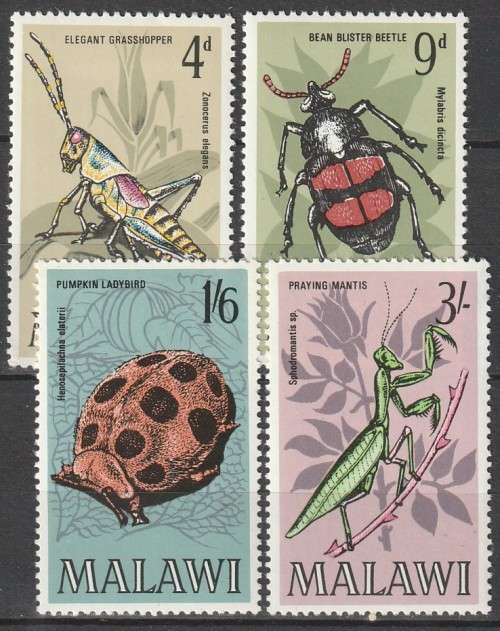 Malawi - 1970 - Insects