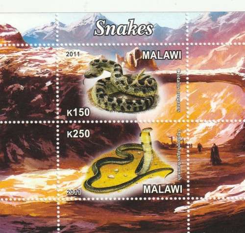 Malawi - 2011 - Snakes