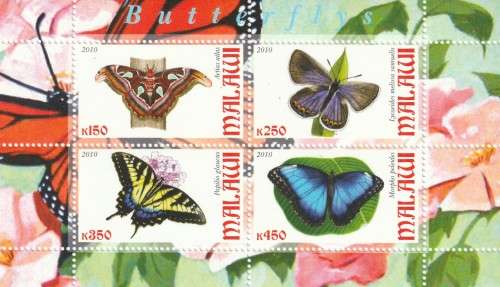 Malawi - 2010 - Butterflies