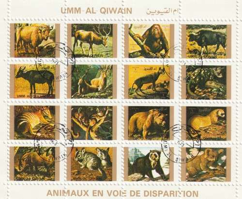 Umm Al Qiwain UAE - 1972 Airmail - Endangered Animals