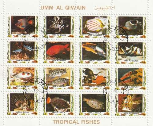 Umm Al Qiwain UAE - 1972 Airmail - Tropical Fish