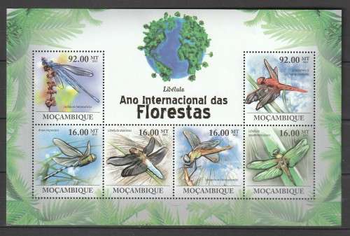 Mozambique - 2011 - Dragonflies