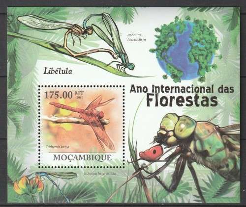 Mozambique - 2011 - Dragonflies