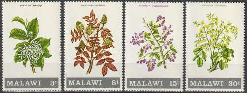 Malawi - 1971 - Flowering Shrubs and Trees  Flowers