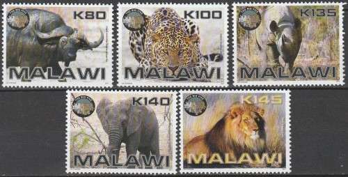 Malawi - 2011 - Big 5 Buffalo Leopard Rhinoceros Elephants Lions