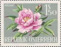Austria - 1964 - Vienna International Garden Show Flowers Single Value Peony