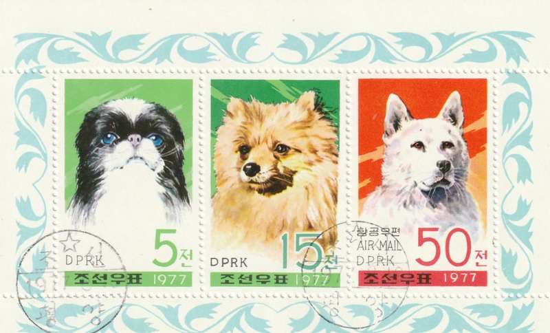 North Korea DPR - 1977 - Dogs
