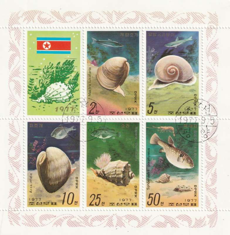 North Korea DPR - 1977 - Sea Shells and Shell Fish