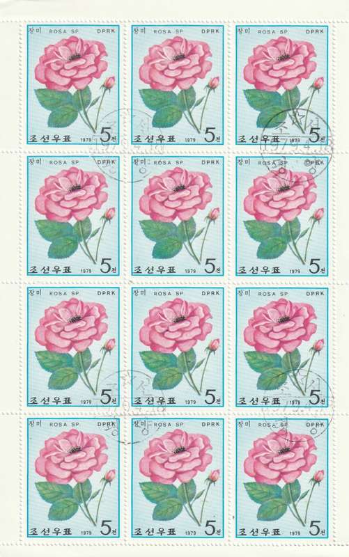 North Korea DPR - 1979 - Roses Flowers