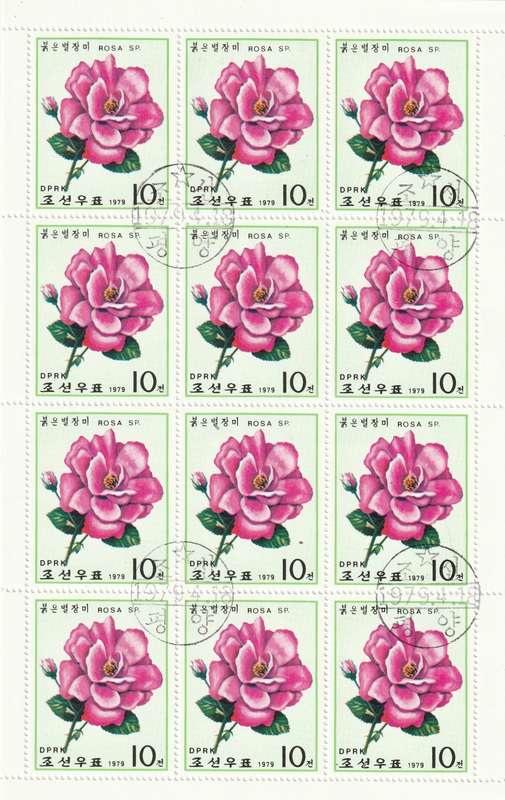 North Korea DPR - 1979 - Roses Flowers