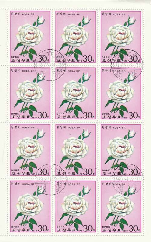 North Korea DPR - 1979 - Roses Flowers