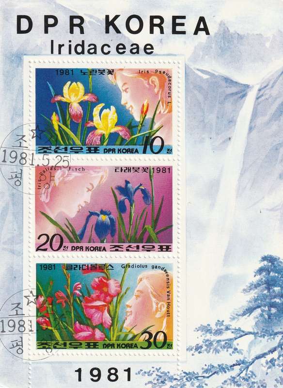North Korea DPR - 1981 - Flowers