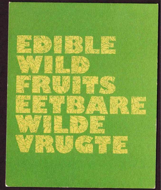 Bophuthatswana - 1980 - Wild Edible Fruit - First Day Collectors Small Card