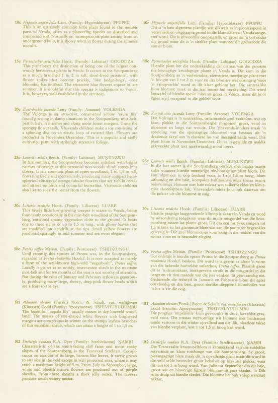 Venda - 1979 - First Definitive - Wild Flowers Flora - First Day Folder Large