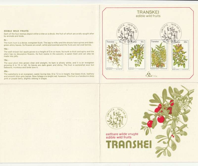 Transkei - 1978 - Wild Edible Fruit Fruits - First Day Collectors Small Card