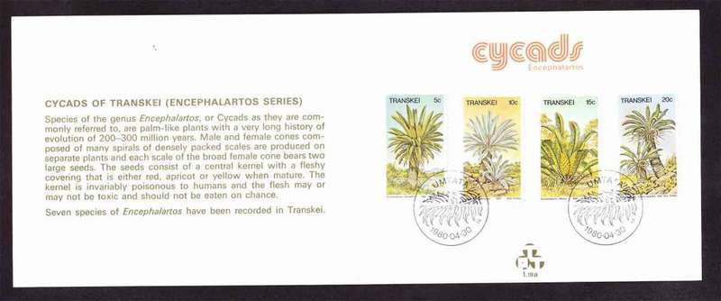 Transkei - 1980 - Cycads Plants Trees Flora - First Day Collectors Small Card