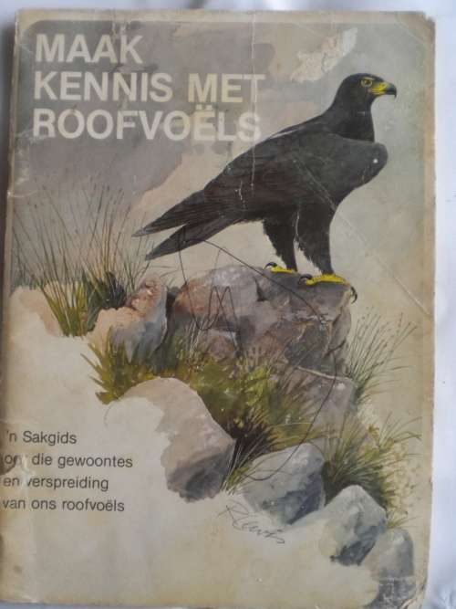 Maak kennis met roofvoels