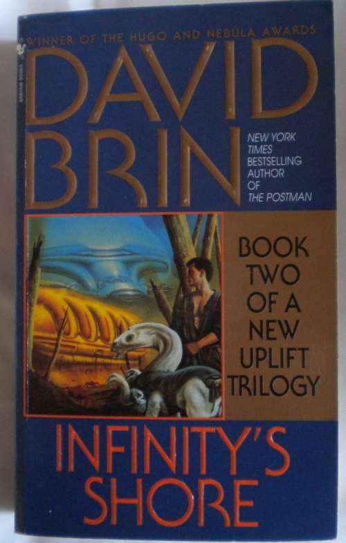 Infinity`s shore by David Brin