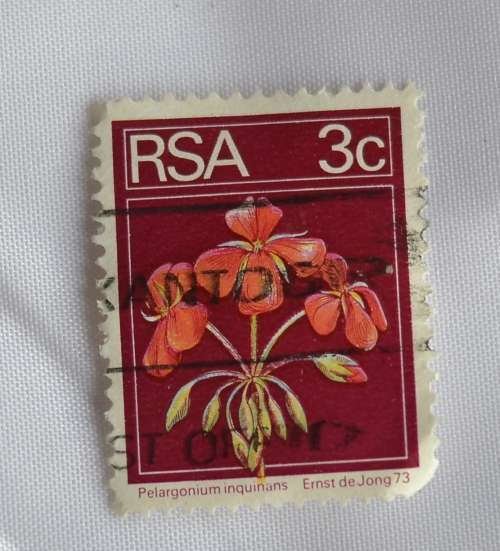 RSA 3c Pelagonium