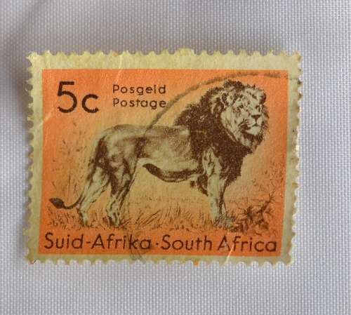 5c Lion