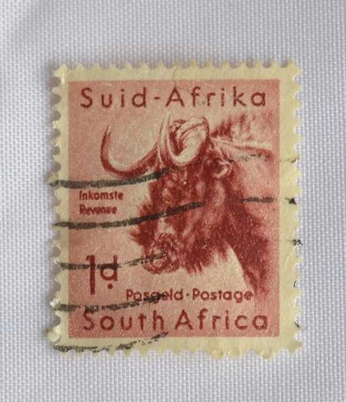 1d Wildebeest