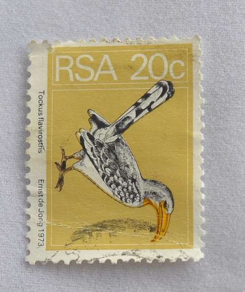 RSA 20c Tockus Flavirostris