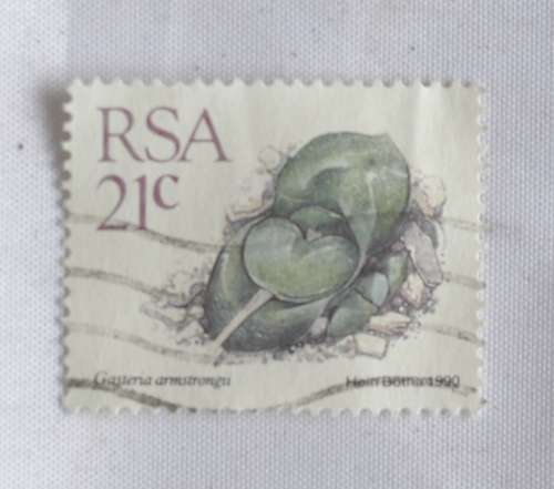 RSA 21c Gasteria Armstrongii