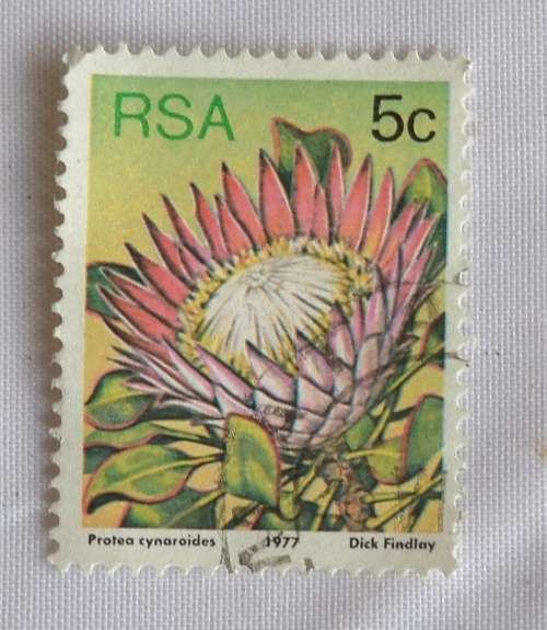 RSA 5c Protea Cynaroides 1977