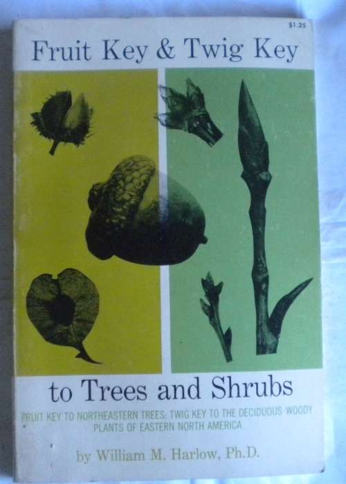 Fruit key and twig key to trees and shrubs