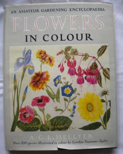 Flowers in colour