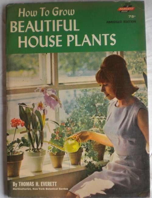 How to grow beautiful house plants