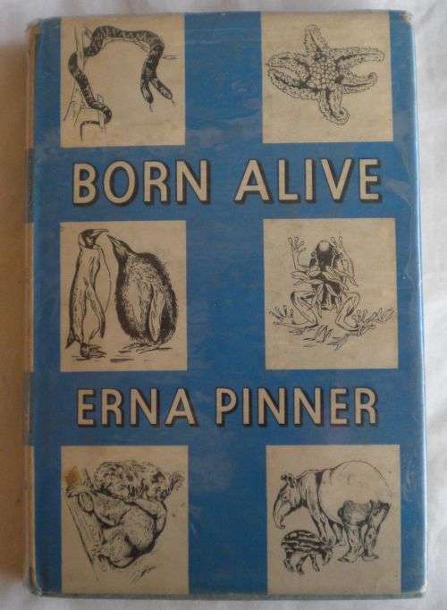 Born alive by Erna Pinner