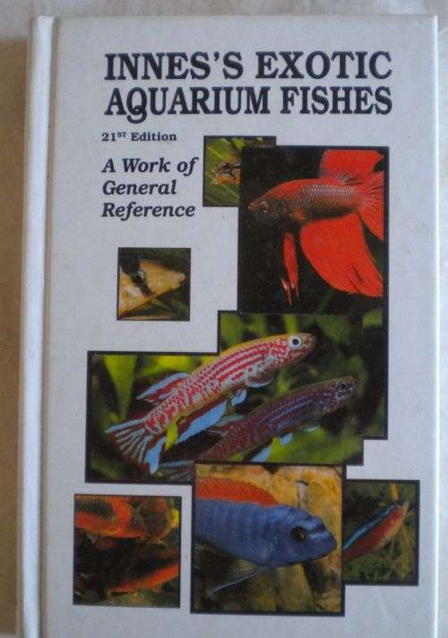 Innes`s exotic aquarium fishes