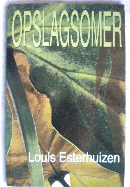 Opslagsomer deur Louis Esterhuizen