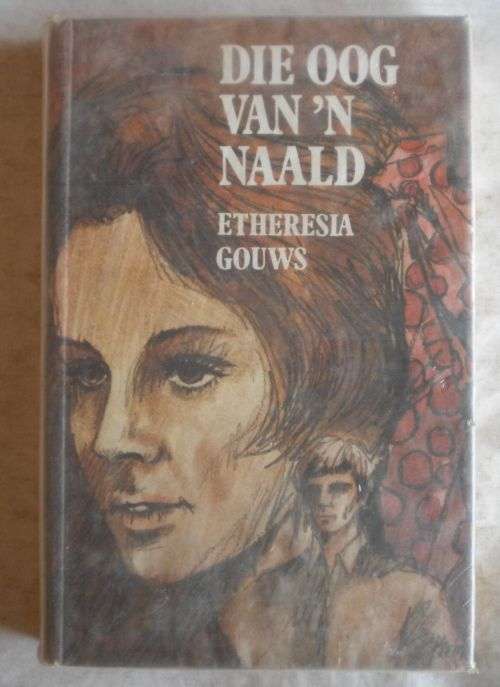 Die oog van `n naald deur Etheresia Gouws
