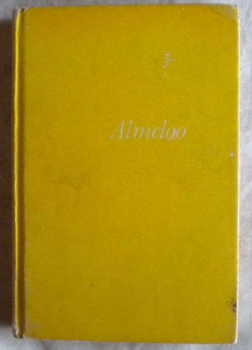 Almeloo deur Marius Gie