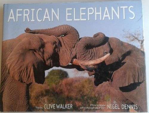 African elephants