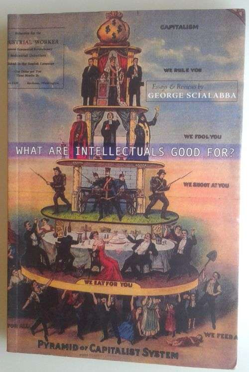 What are intellectuals good for by George Scialabba
