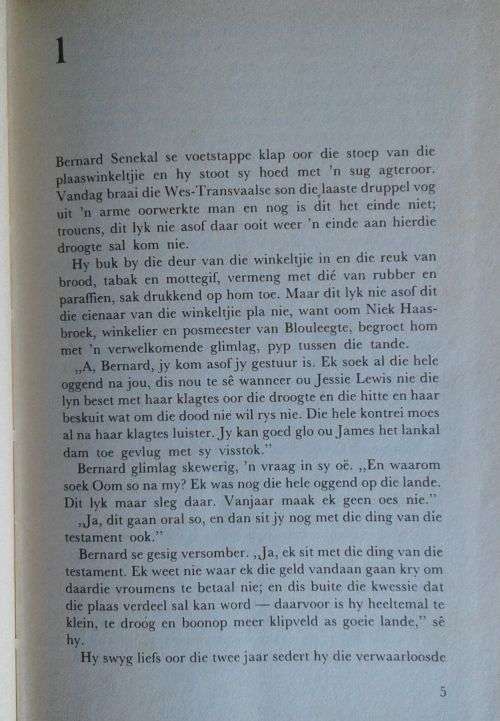 `n Plekkie in jou hart deur Lize Swart